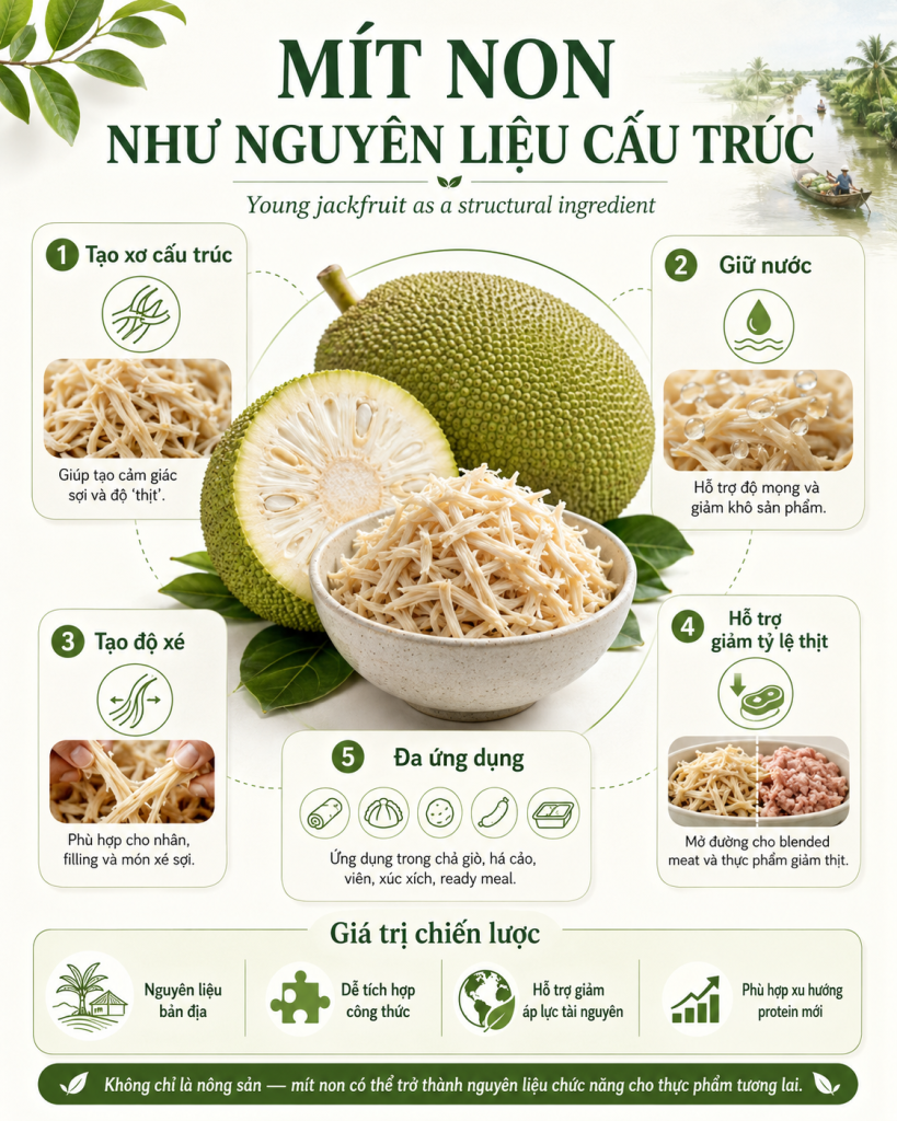 Mít non như nguyên liệu cấu trúc cho thực phẩm plant-based blended food và thực phẩm tương lai