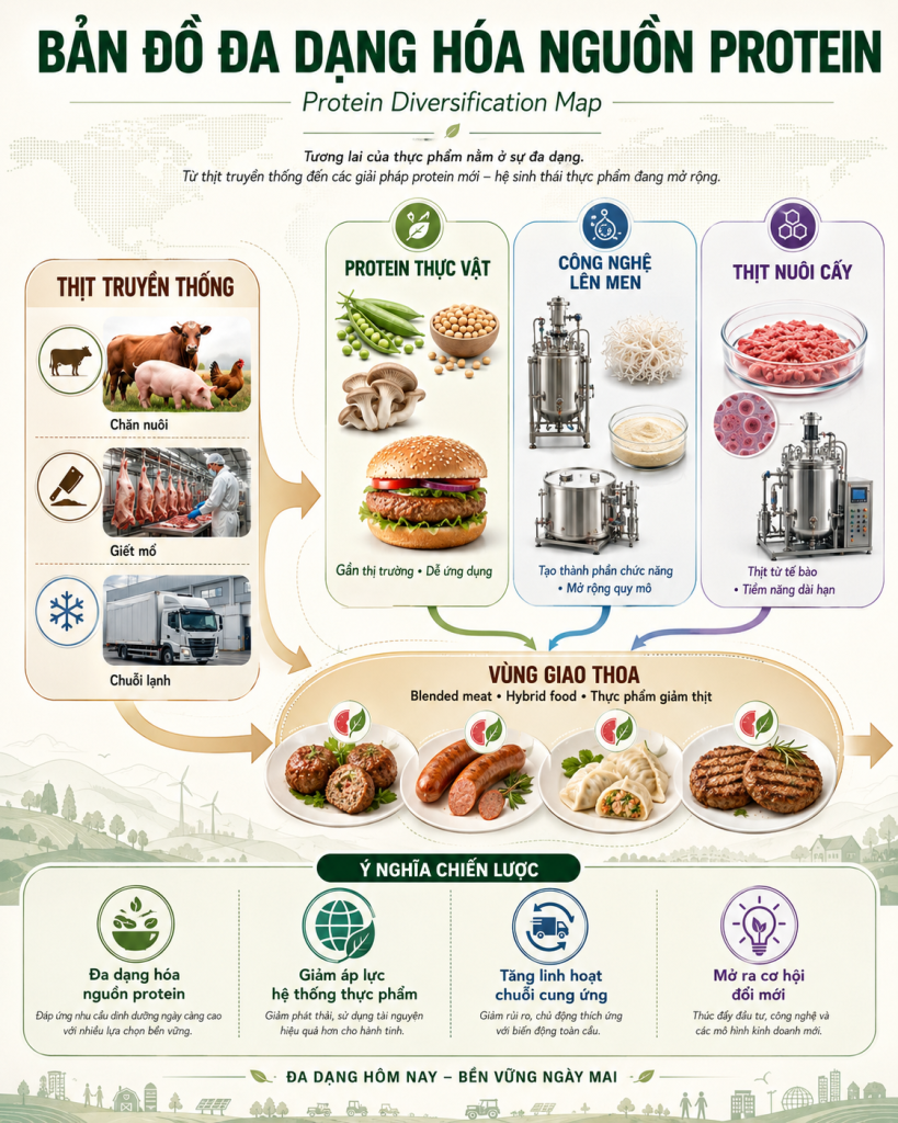 Sơ đồ đa dạng hóa nguồn protein gồm thịt truyền thống protein thực vật công nghệ lên men thịt nuôi cấy và blended food